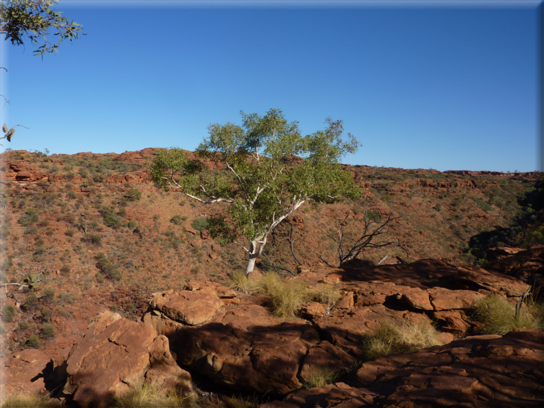 foto Parco nazionale Uluru Kata Tjuta